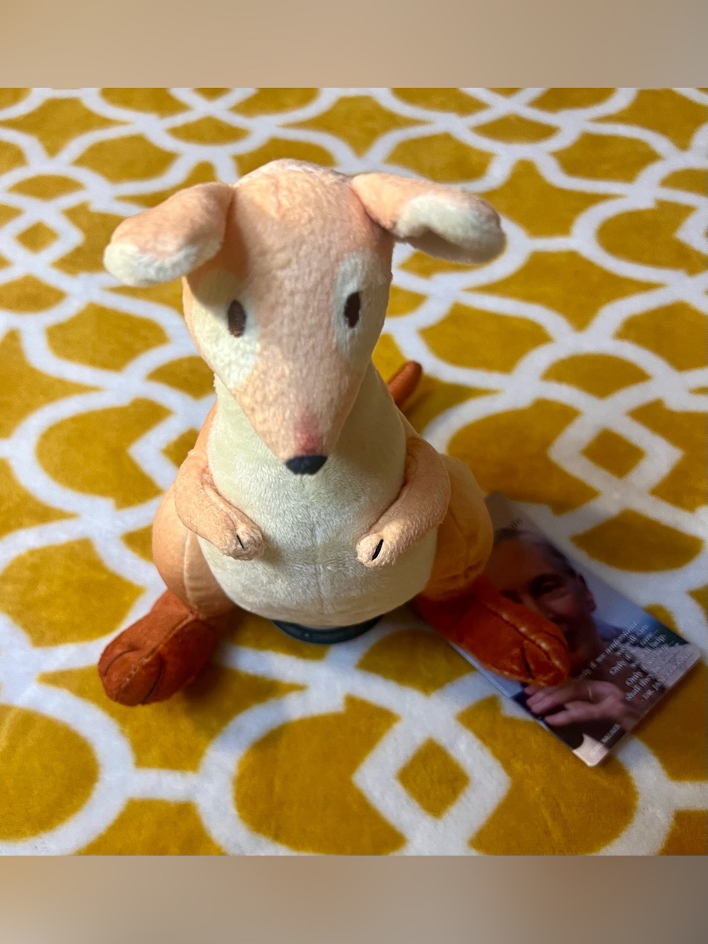 Aqi The Jane Goodall Institute Wallaby Plush 8in Eco-Friendly 2021 GSA509